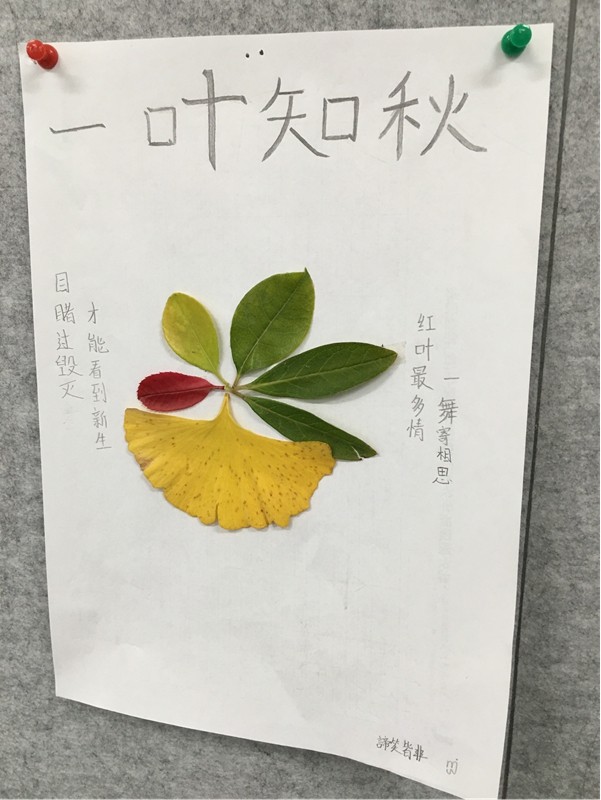 “秋意漫漫，诗意画卷”——走进高一1班秋季素拓活动